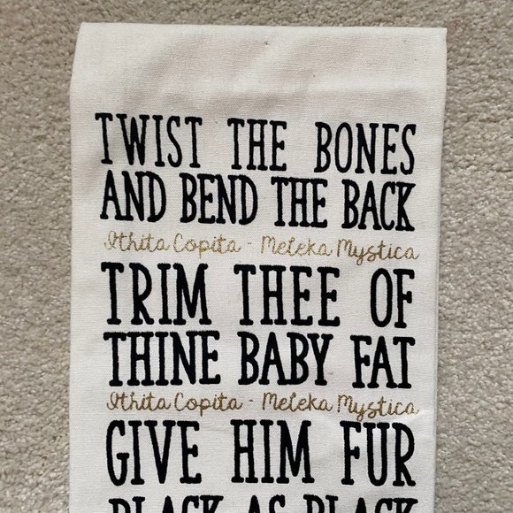 NWOT! Spirit Halloween Hocus Pocus Spell with Binx Dishtowel - Picture 3 of 8